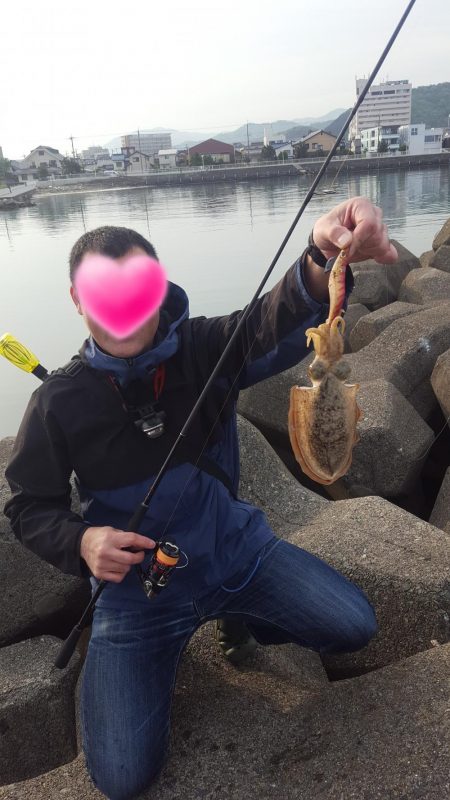 コウイカエギング