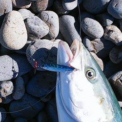 マッスル ハッスル