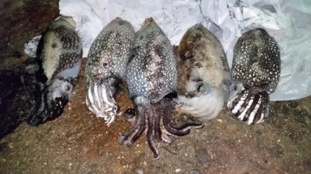 今年一番のサイズ♪