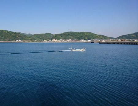 アジ狙いで珍客