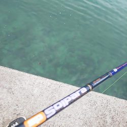 グィ────ン