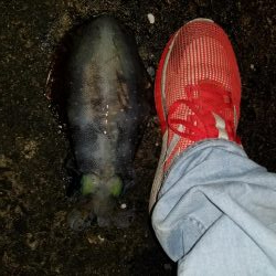 波バッシャーン！