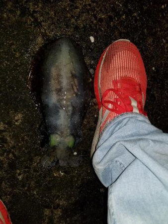 波バッシャーン！