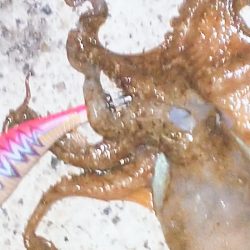 キミはいたんだね