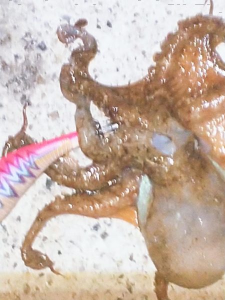 キミはいたんだね