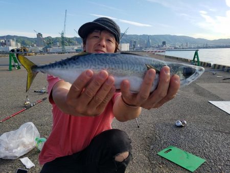 大サバ　42.5cm　！！陸っぱり！