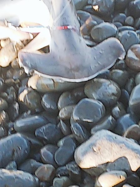 ハンマープライス