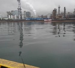 5/1釣果。令和も釣るぞ！チヌ2匹