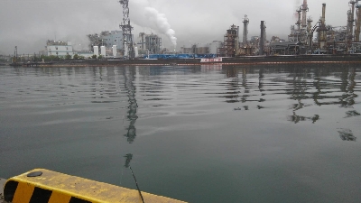 5/1釣果。令和も釣るぞ！チヌ2匹