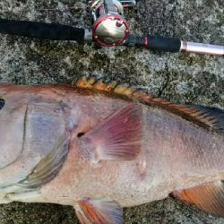 モンスターハンター釣行