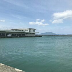 ファミリーフィッシング