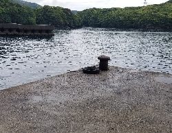 長雨の影響で不調