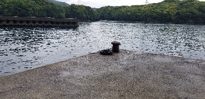 長雨の影響で不調