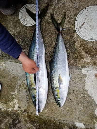 令和元年 遠征二日目にて