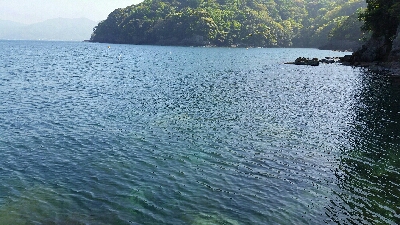 日中エギングあたりなし…