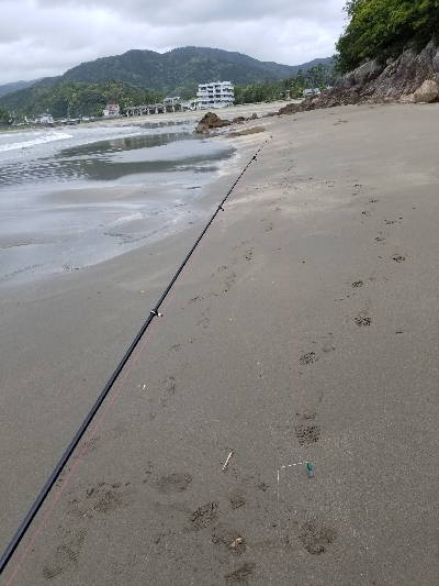 キスが絶好調！