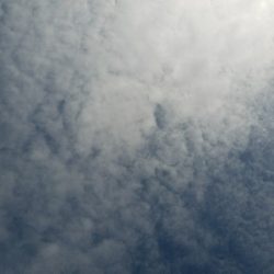 キス釣り　～泳がせ当たりなし～