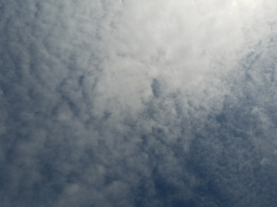 キス釣り　～泳がせ当たりなし～