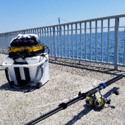 大蔵海岸シーズンイン