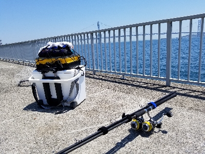 大蔵海岸シーズンイン