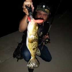 ワイワイガヤガヤ！