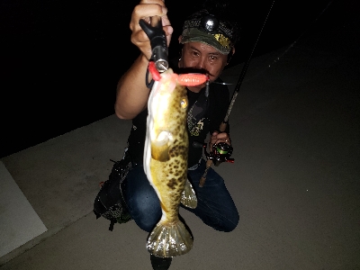 ワイワイガヤガヤ！