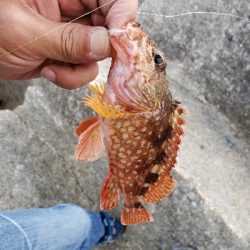 デイロックフィッシング