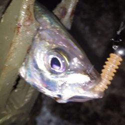 リベンジ成功(^^)/