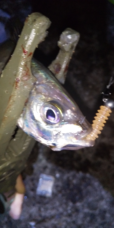 リベンジ成功(^^)/