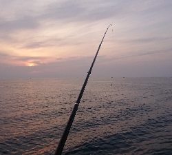 一文字突堤にて