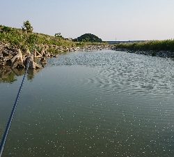 物部川 中流域