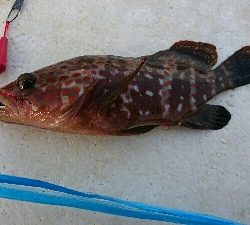 北浜小学校裏にて