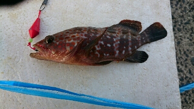 北浜小学校裏にて