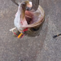 やっと停泊船ゲームだよ