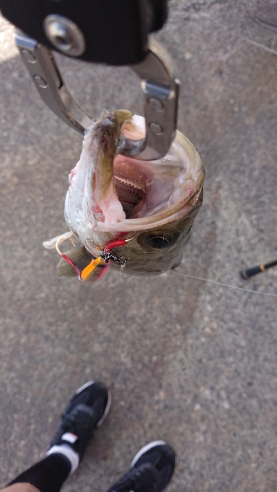 やっと停泊船ゲームだよ