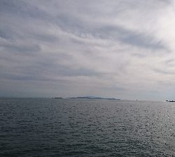 今日もガシガシ