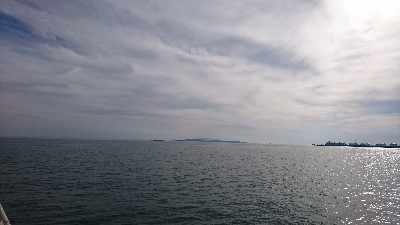 今日もガシガシ