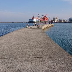 ゴールデンウィーク後半、令和元年、初釣り