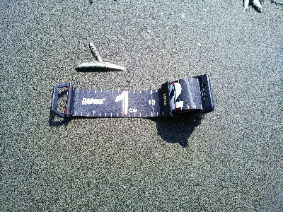 マッチ・ザ・ベイト