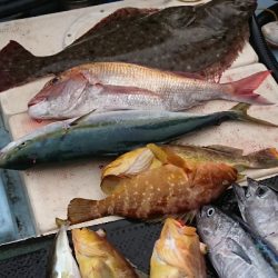 タイラバ&スロージギング&ジギング