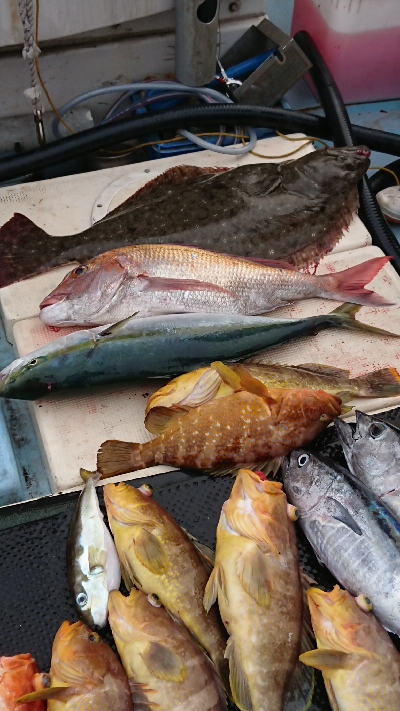 タイラバ&スロージギング&ジギング