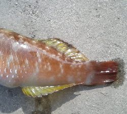 初めて立ち寄った漁港で