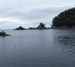 令和初アオリ！