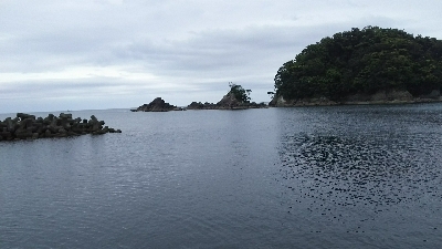 令和初アオリ！