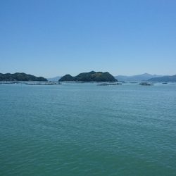 ライトショアジギング サバ