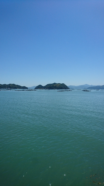 ライトショアジギング サバ