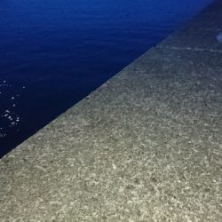 ライトショアジギング ハモ