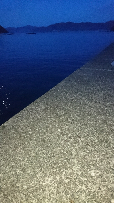 ライトショアジギング ハモ