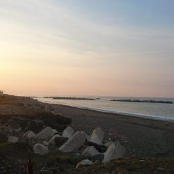 仁淀川周辺サーフ、ライトショアジギング ワカナ