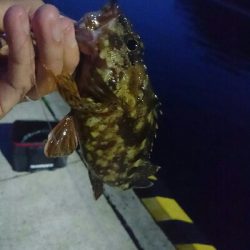 令和 最初の釣り